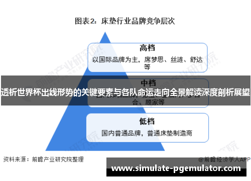 透析世界杯出线形势的关键要素与各队命运走向全景解读深度剖析展望